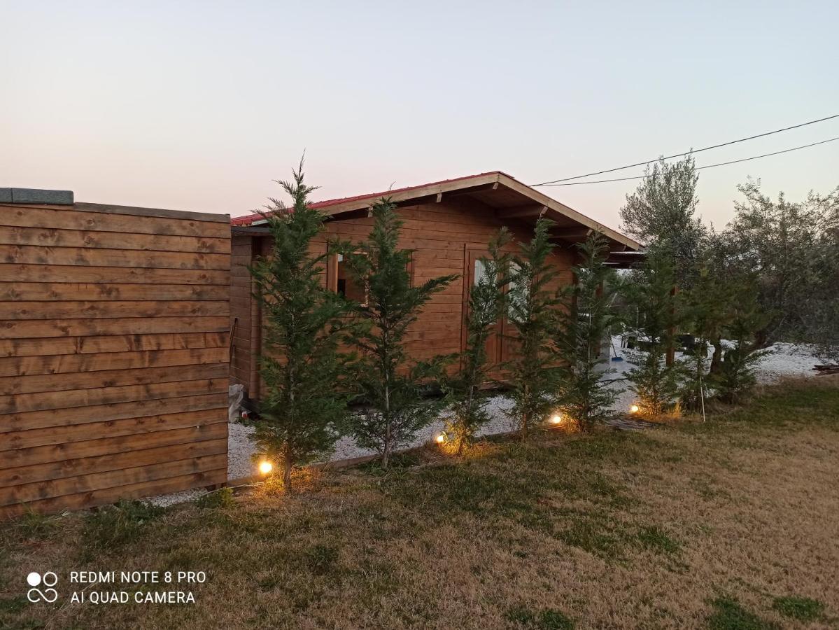 Luxury Wooden House Villa